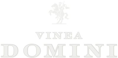Vinea Domini